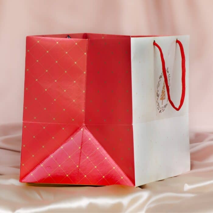 Sacola de Papel para Presente, ''G'' 30X20X24 cm, Nobre - 10un - Imagem 4