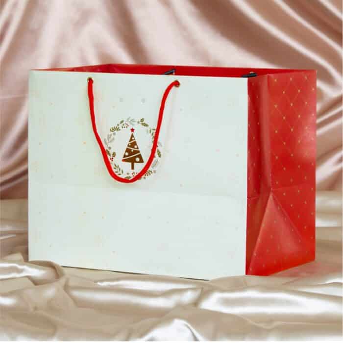 Sacola de Papel para Presente, ''G'' 30X20X24 cm, Nobre - 10un - Imagem 1