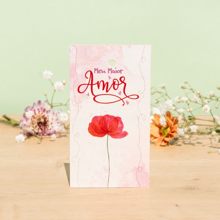 f8e52ce9299bc62f0f9b53a620d37fa3.jpg Tag, MIMO - 25un - Imagem 1