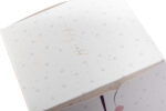 Embalagem Para Mini Panetone Com Visor E Berço, Memorias - 25un - Imagem 5