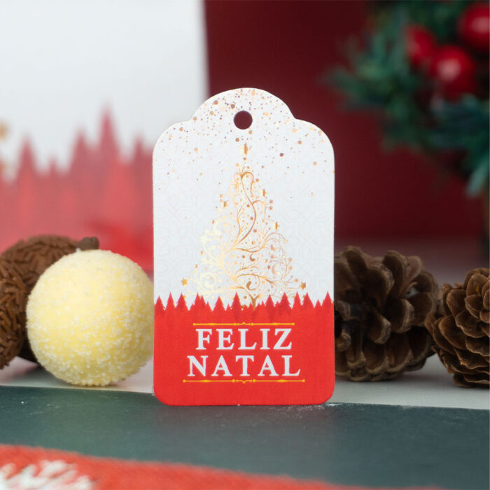 Tag de Natal, Luzes - 25un - Imagem 1