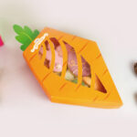 Caixa para Presente Cenoura - 5un