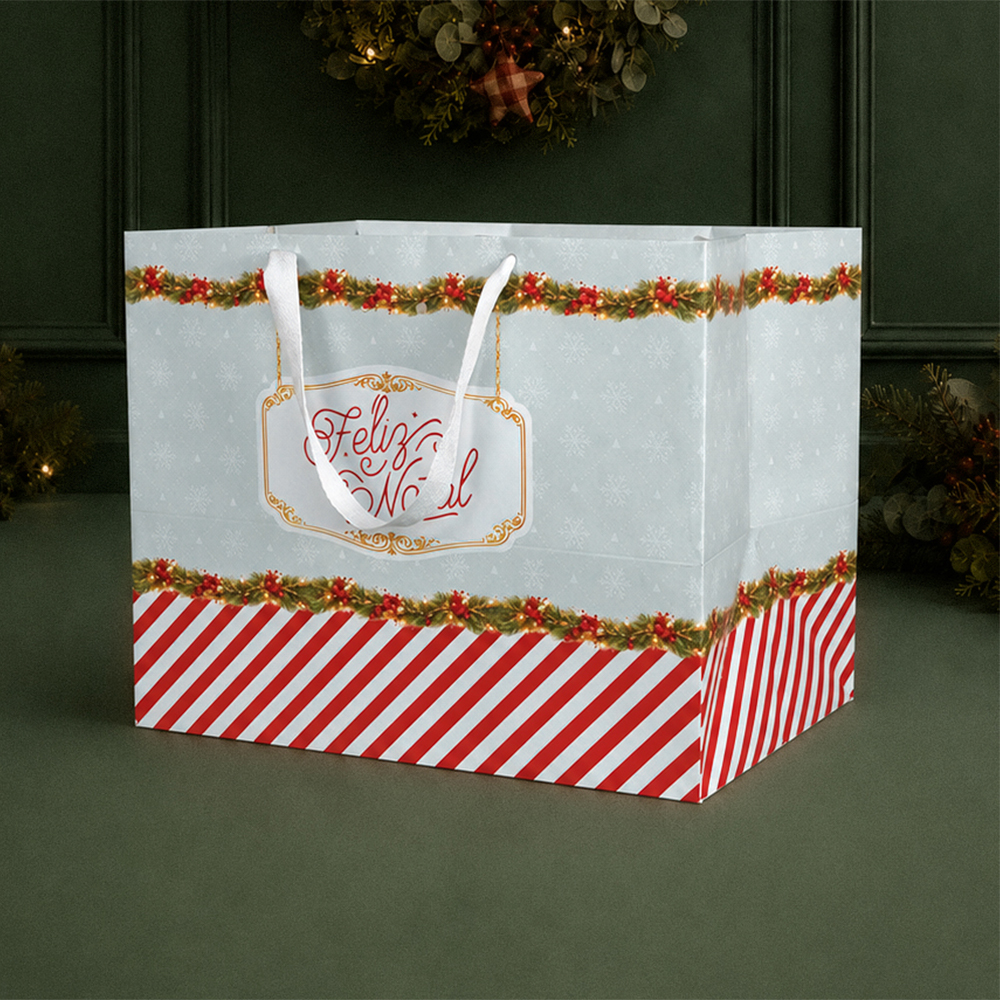a47143b2d4449afdcceb5fb9a38cf2b7.jpg Sacola de papel para Presente ”G” 30x24x20cm, Carrossel – 10un - Imagem 1
